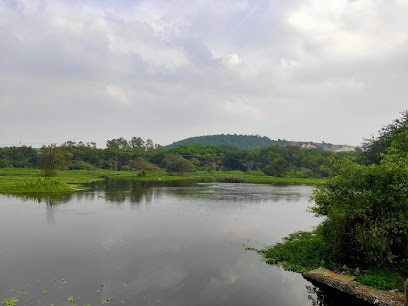 Pashan Lake
